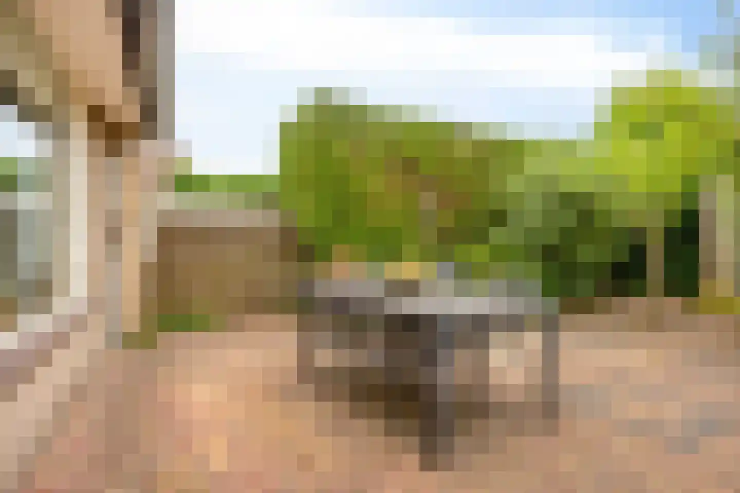 Tabaksland 66 c Woudenberg thumbnail 24