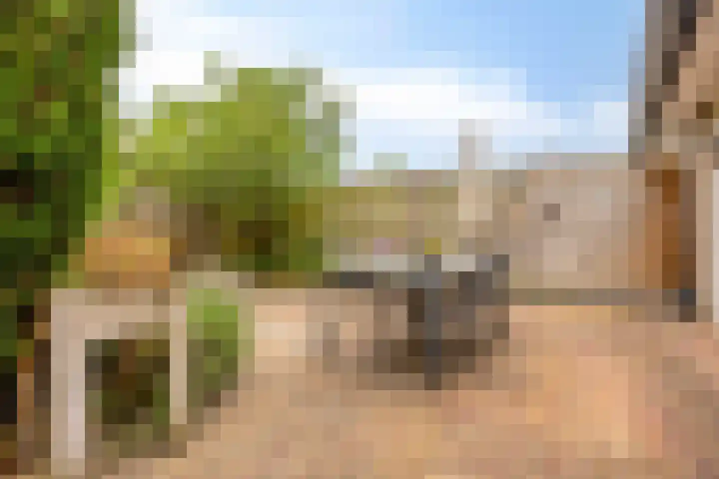 Tabaksland 66 c Woudenberg thumbnail 25