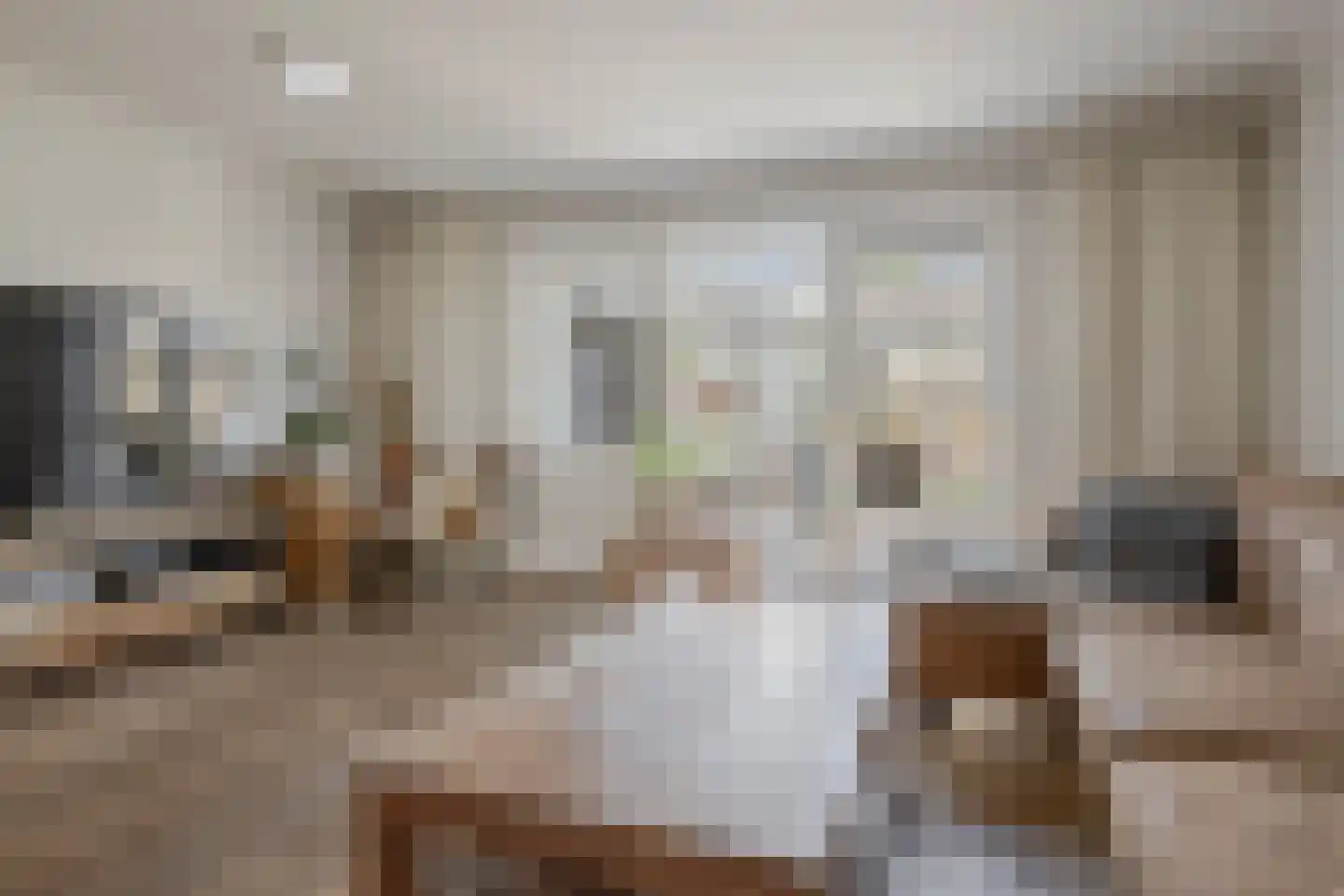 Tabaksland 8 Barneveld thumbnail 24
