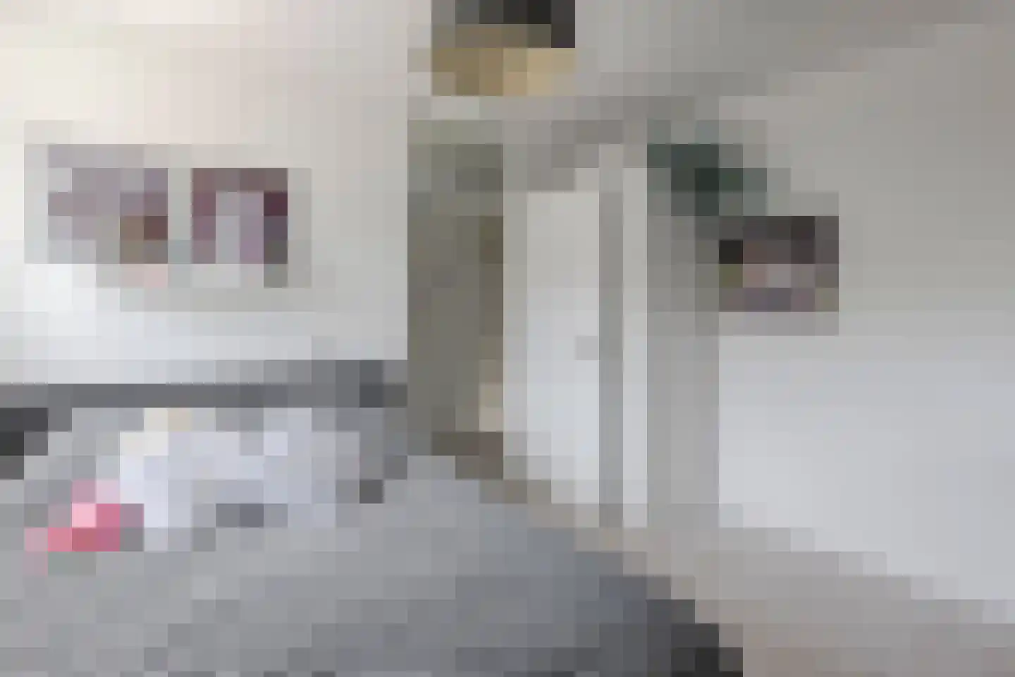 Tabaksland 8 Barneveld thumbnail 34