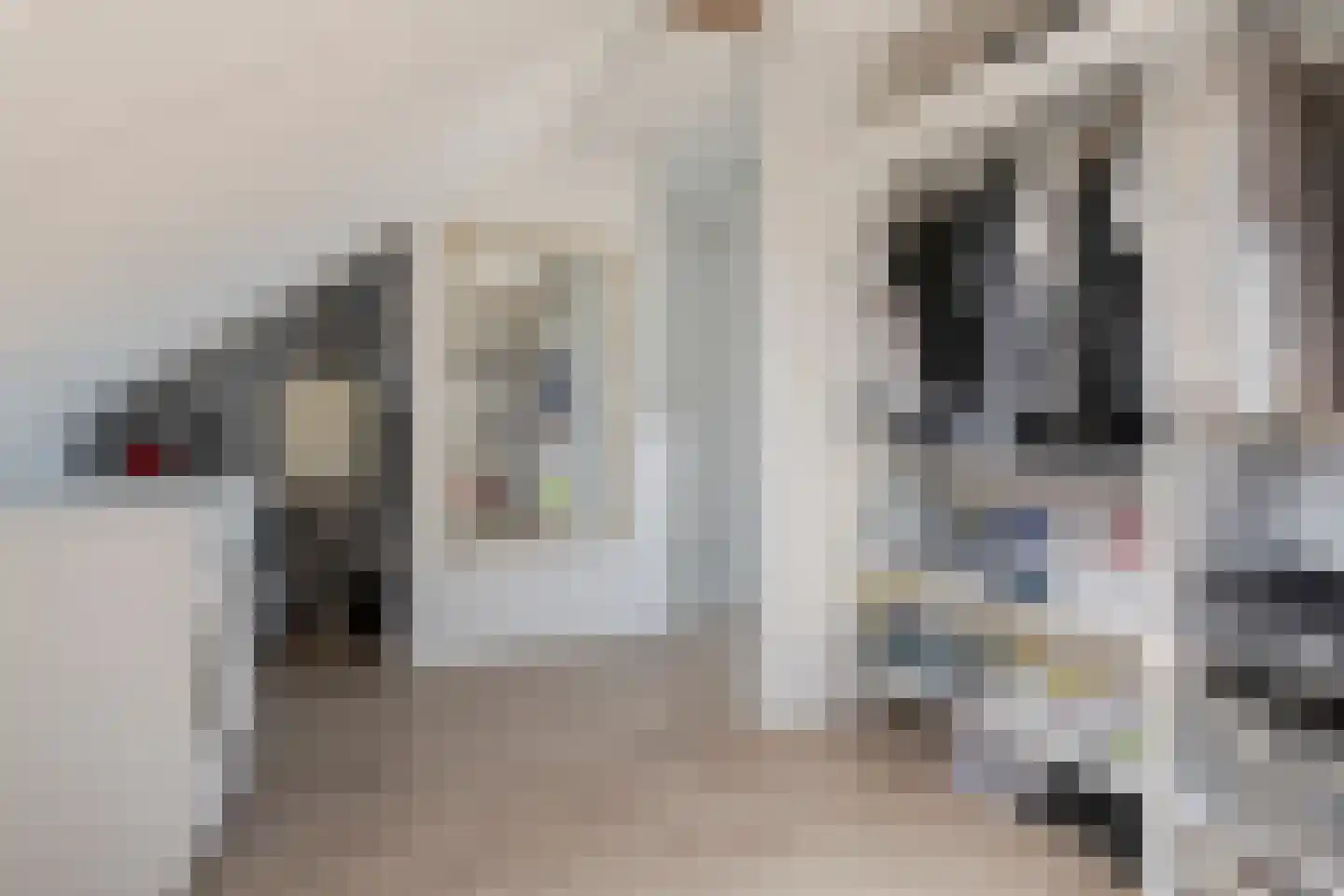 Tabaksland 8 Barneveld thumbnail 40