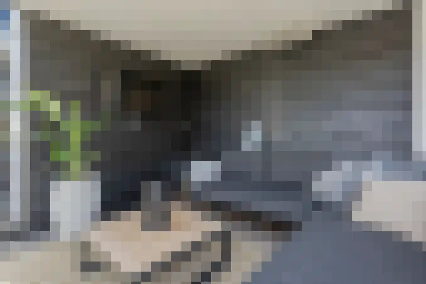 Tabaksland 8 Barneveld thumbnail 45