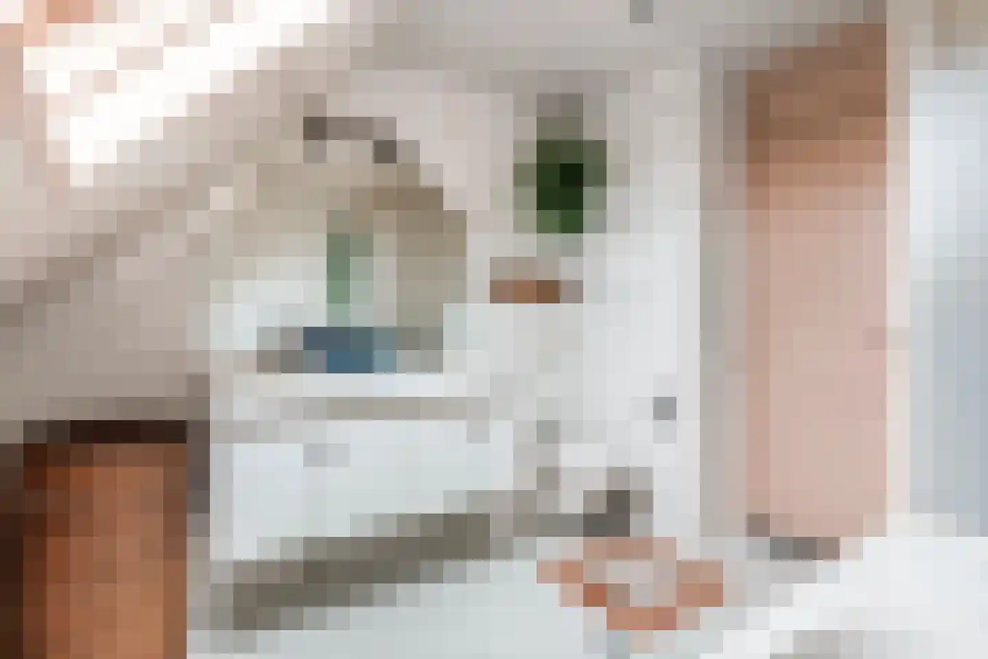 Tabaksland 92 Ingen thumbnail 39