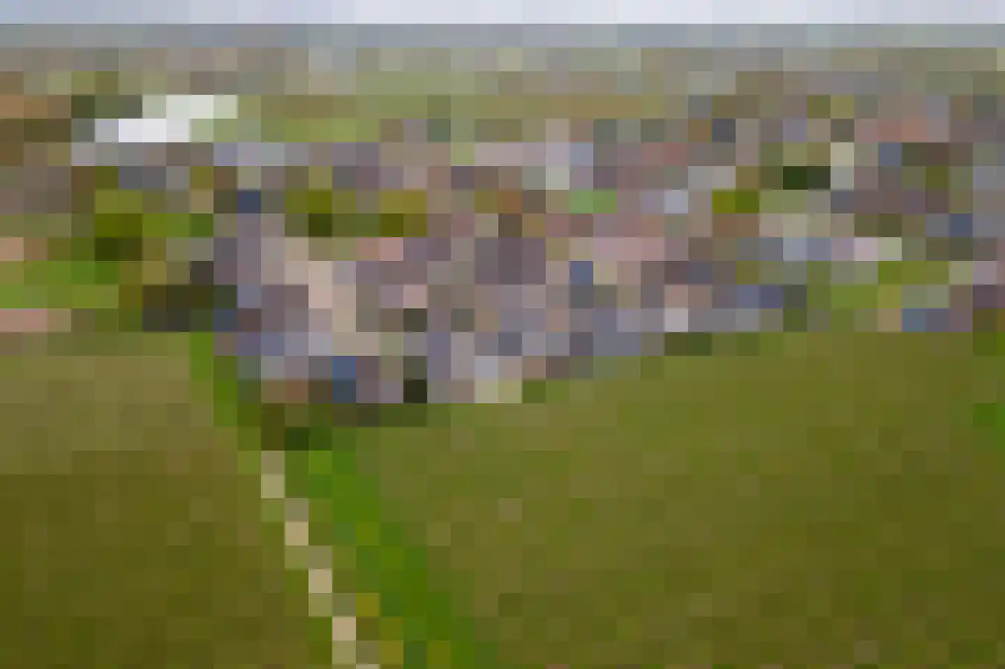 Tabaksland 92 Ingen thumbnail 47