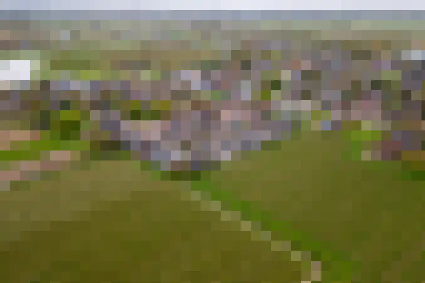 Tabaksland 92 Ingen thumbnail 48