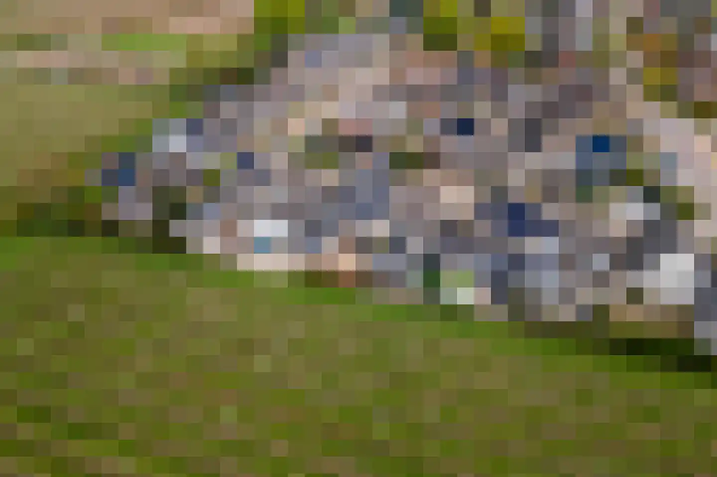 Tabaksland 92 Ingen thumbnail 50
