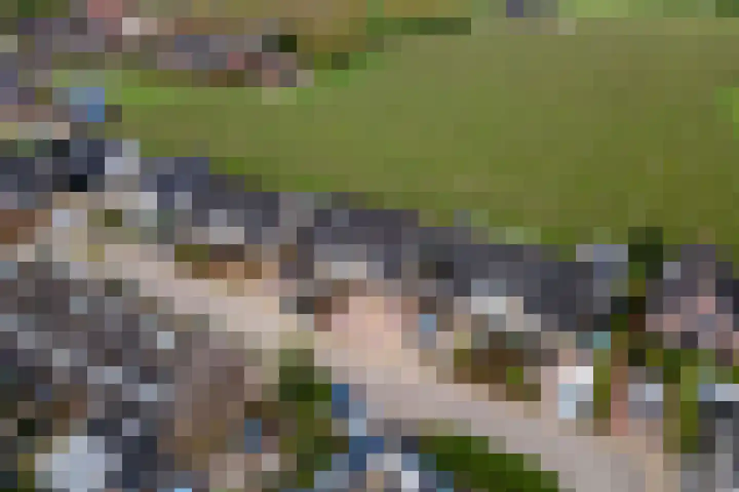 Tabaksland 92 Ingen thumbnail 52