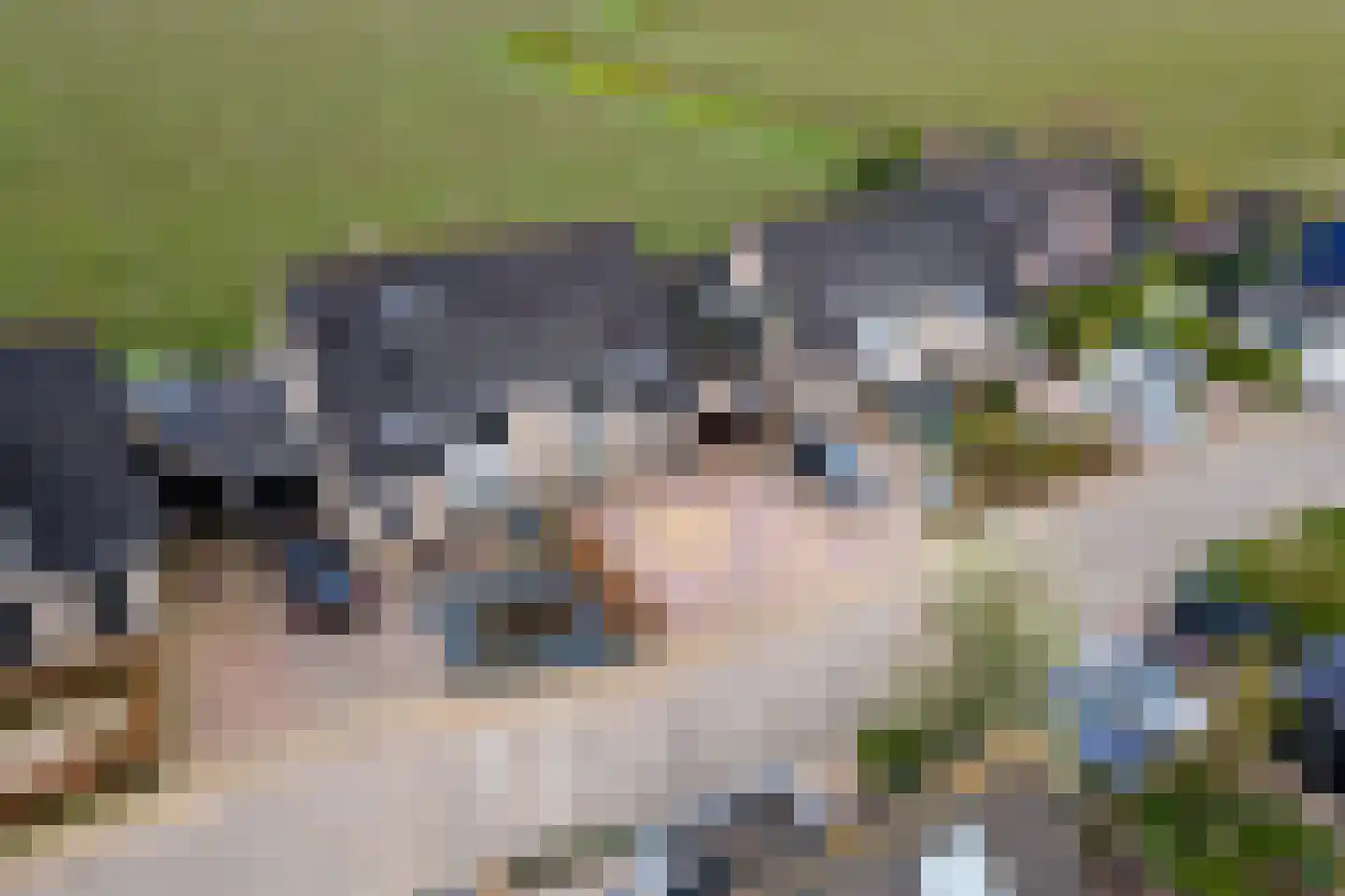 Tabaksland 92 Ingen thumbnail 57