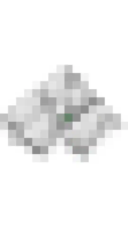 Tabaksland 92 Ingen thumbnail 61