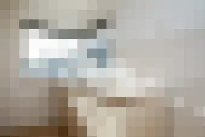 Tabaksmolen 7 Heerhugowaard thumbnail 13