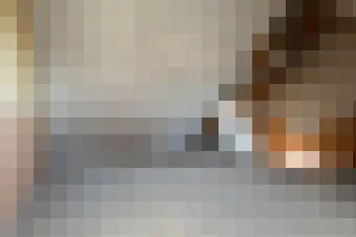Tabaksmolen 7 Heerhugowaard thumbnail 29