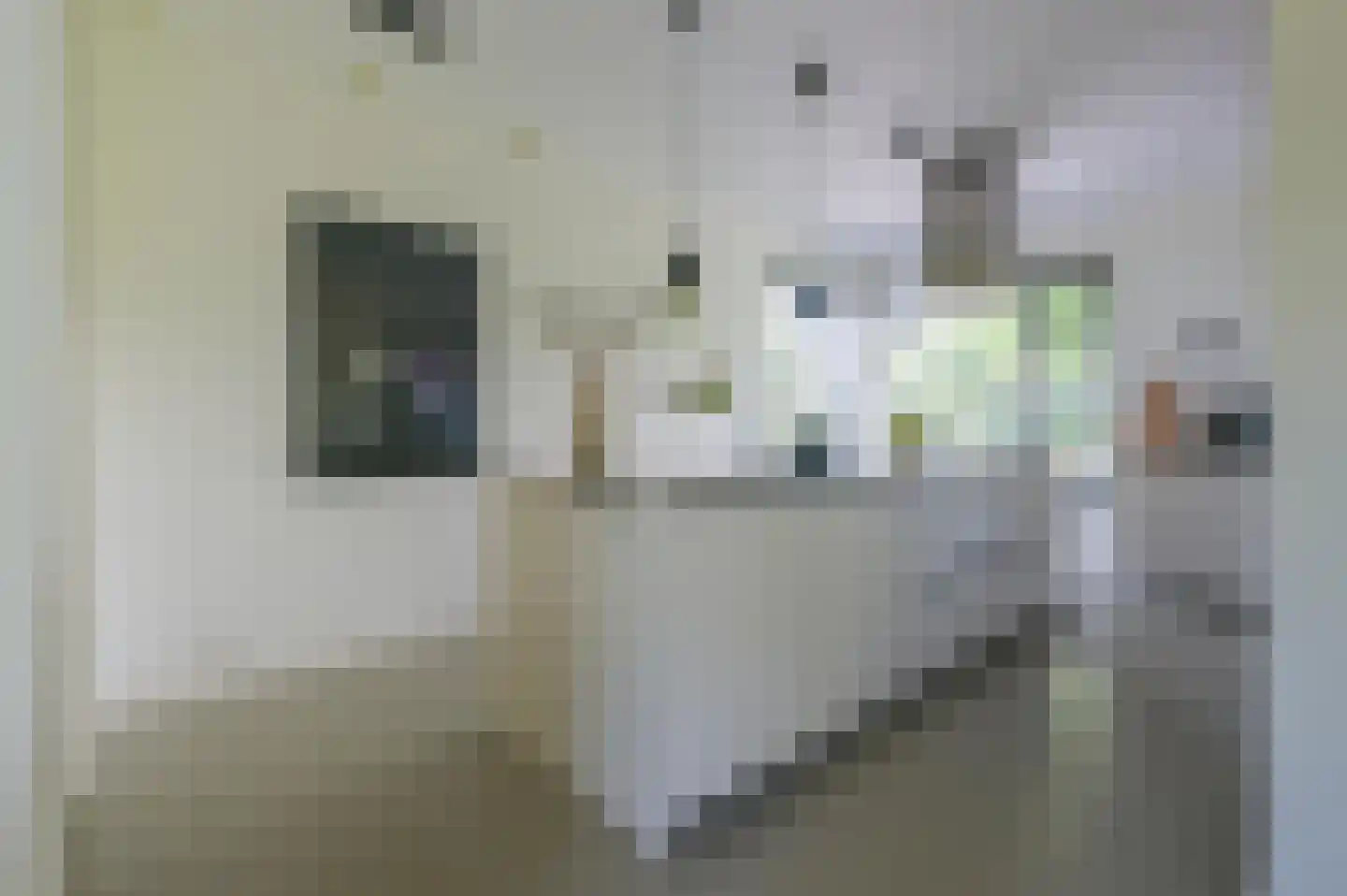 Tabaksteeg 11 Leusden thumbnail 11