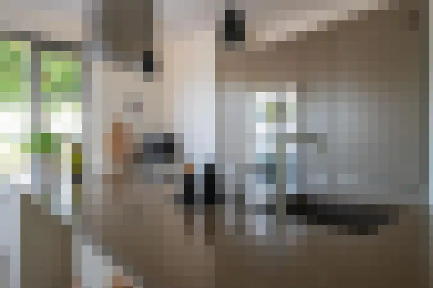 Tabaksteeg 11 Leusden thumbnail 13