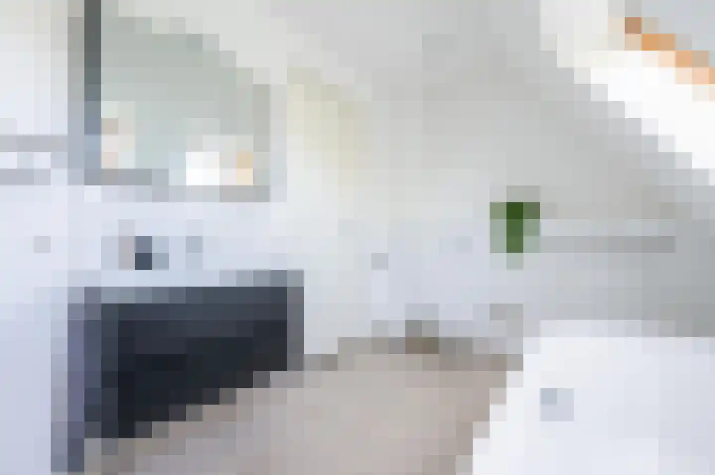 Tabaksteeg 11 Leusden thumbnail 21