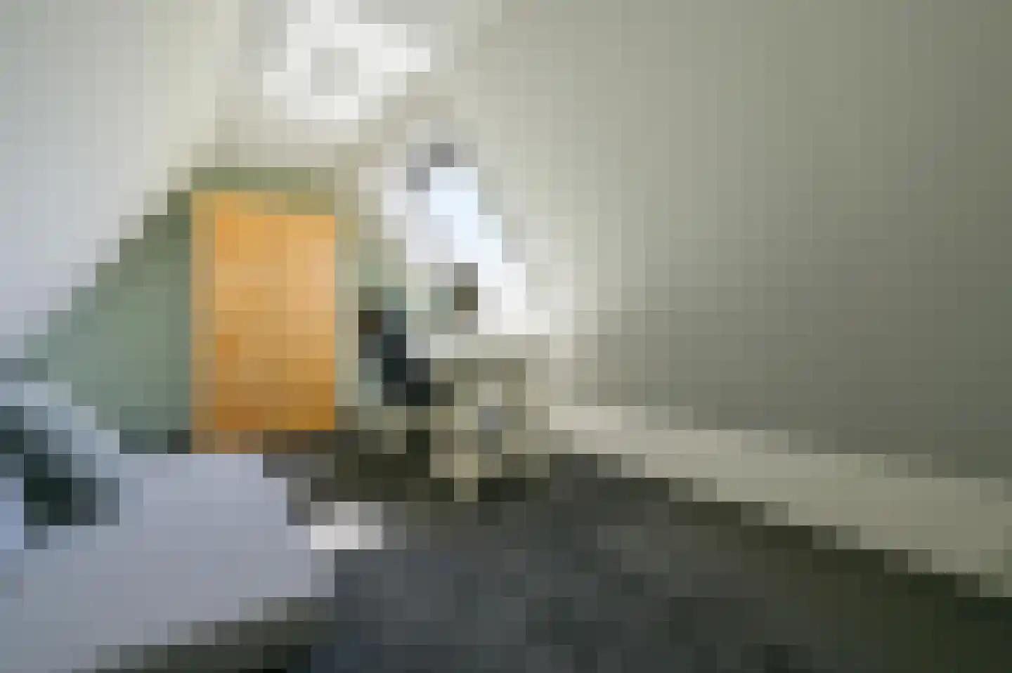 Tabaksteeg 11 Leusden thumbnail 29
