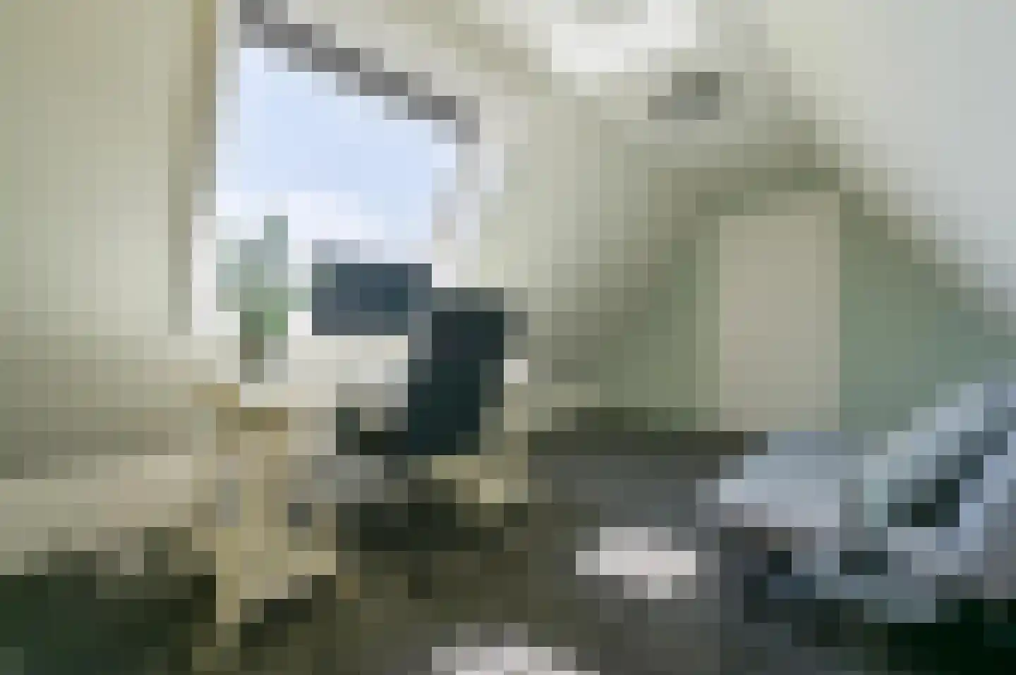 Tabaksteeg 11 Leusden thumbnail 30