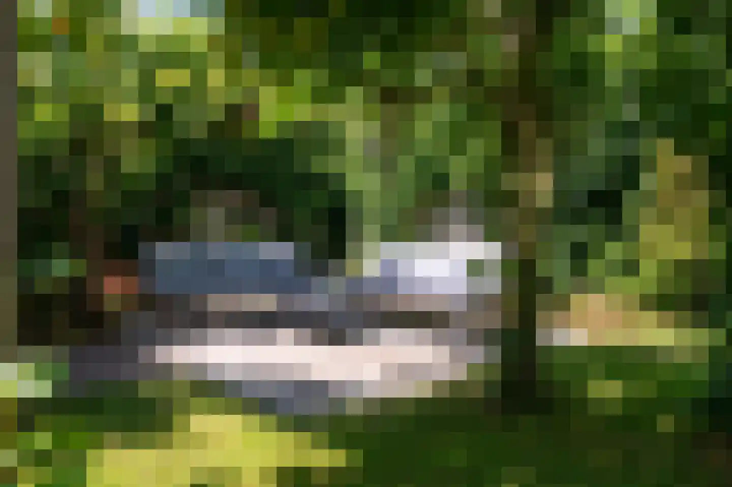 Tabaksteeg 11 Leusden thumbnail 35