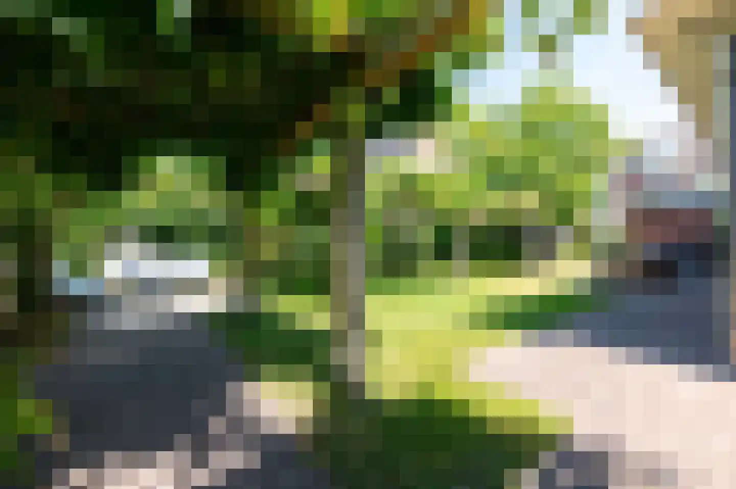 Tabaksteeg 11 Leusden thumbnail 36