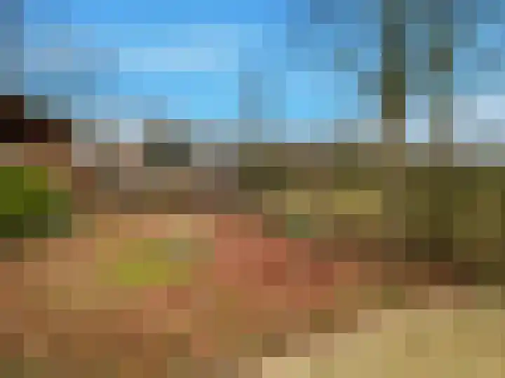 Tabakstiend 3 Renkum thumbnail 27