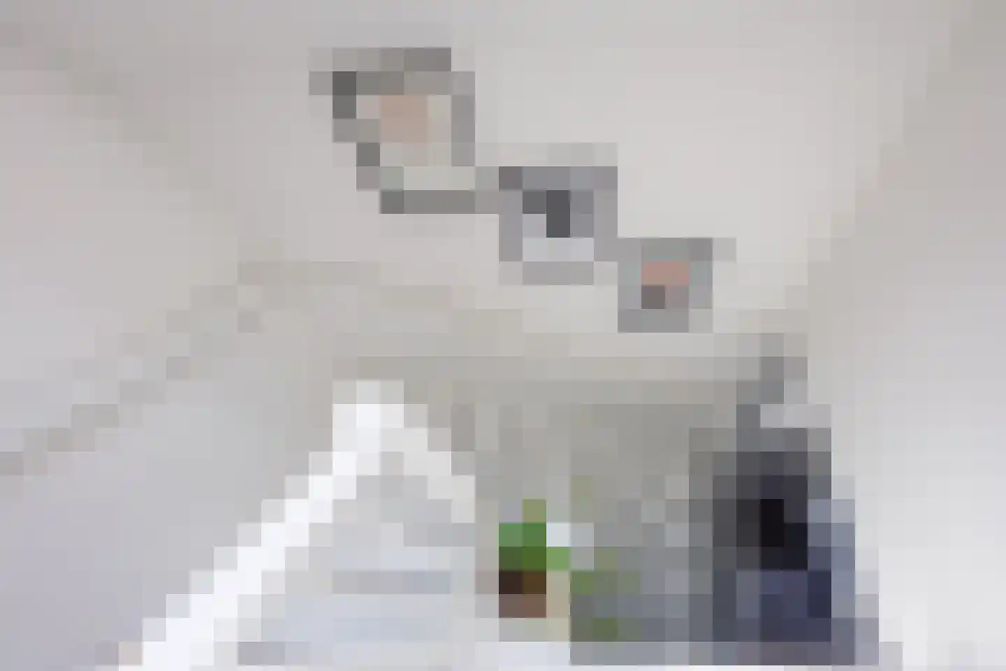 Tabaksveld 50 Puiflijk thumbnail 19