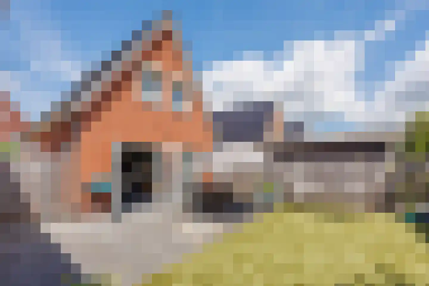 Tabaksveld 50 Puiflijk thumbnail 32