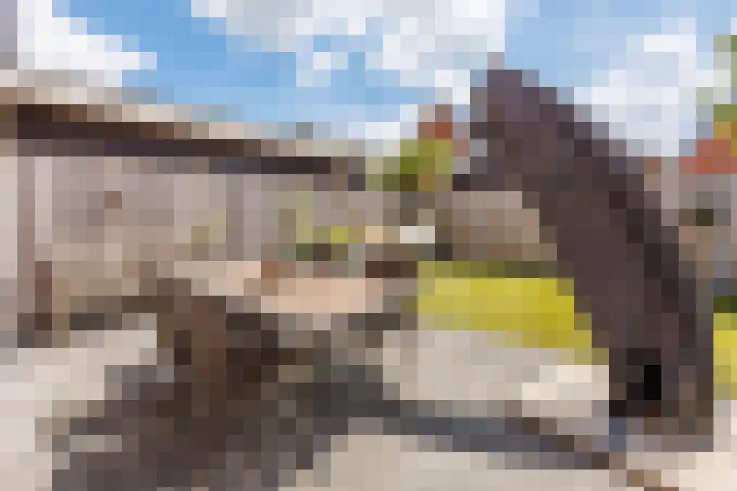 Tabaksveld 50 Puiflijk thumbnail 34