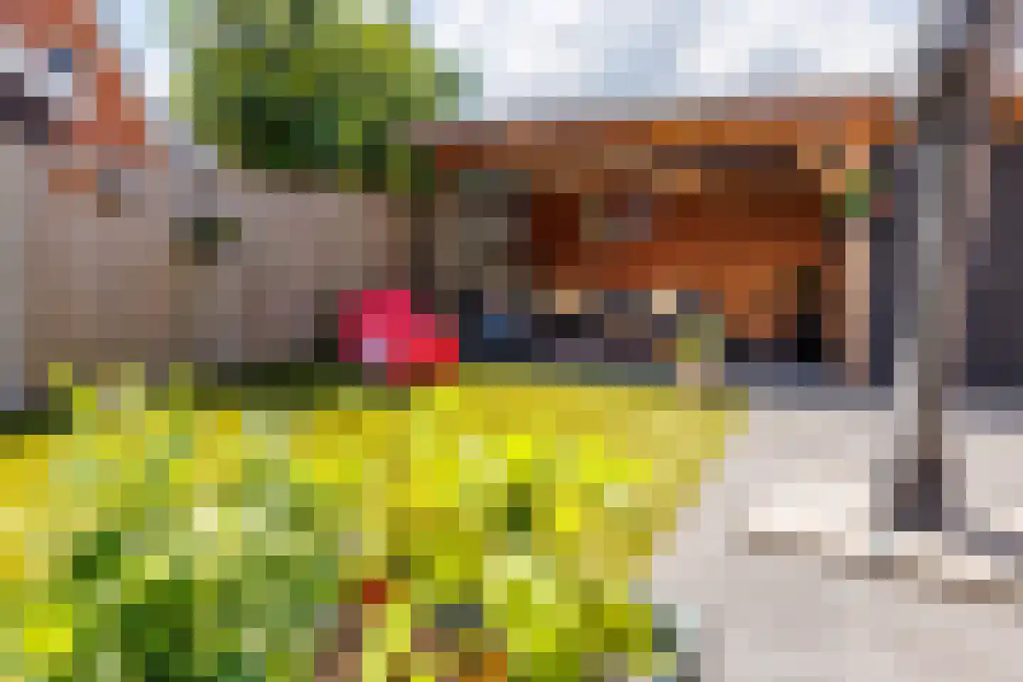 Tabaksveld 50 Puiflijk thumbnail 37