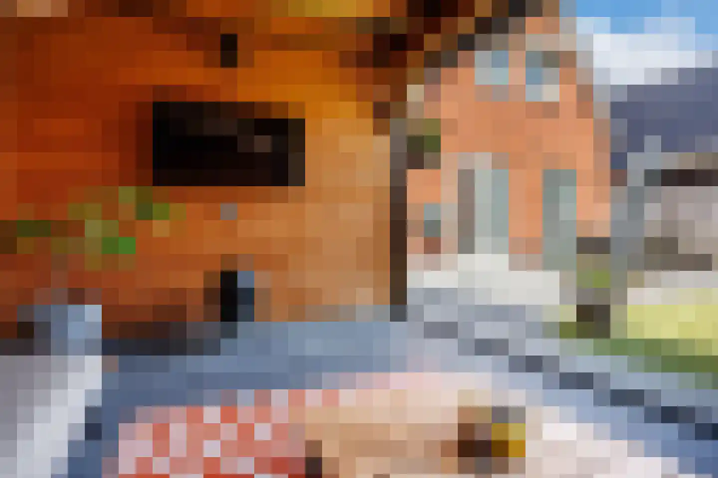 Tabaksveld 50 Puiflijk thumbnail 41