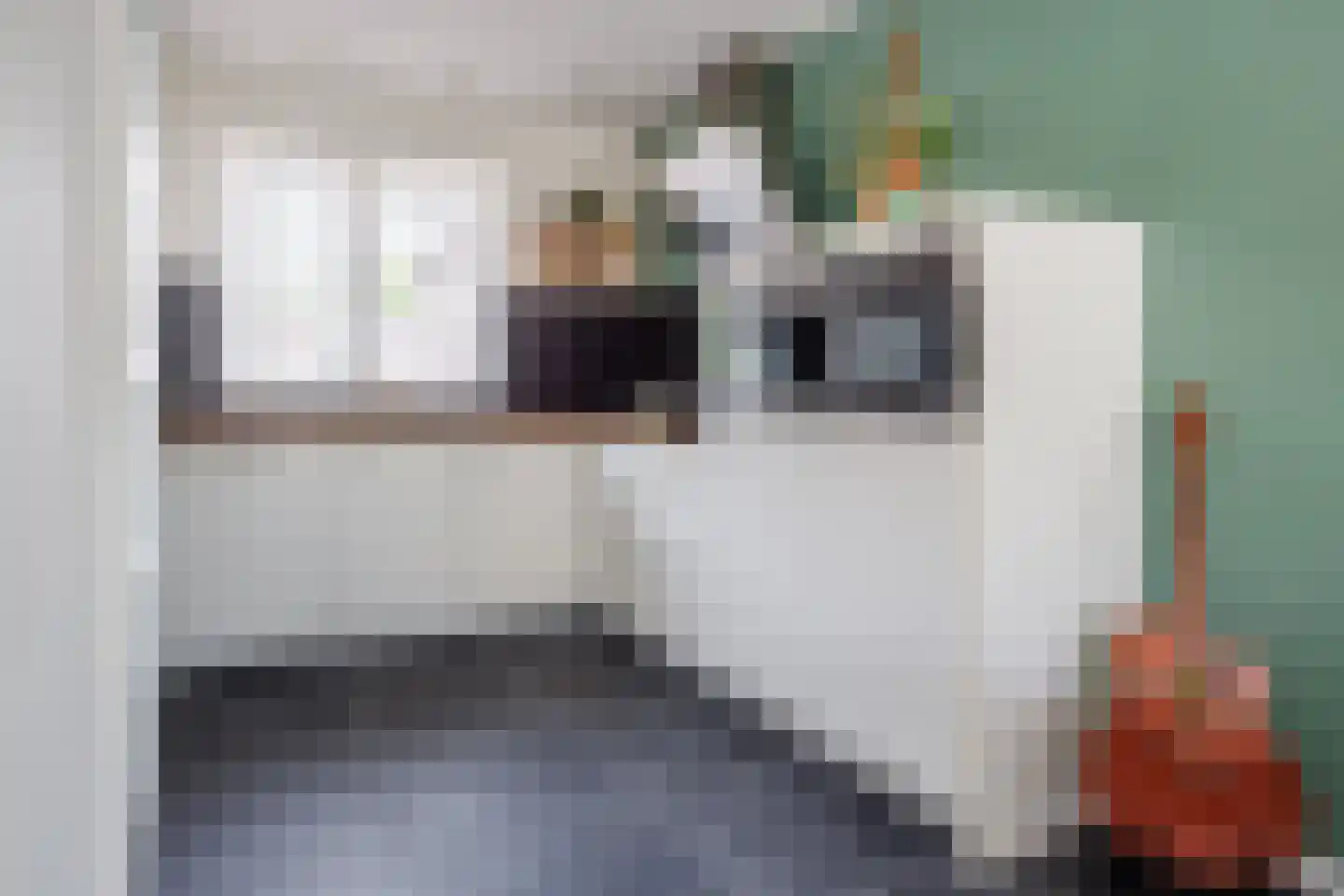 Tabaksveld 50 Puiflijk thumbnail 8