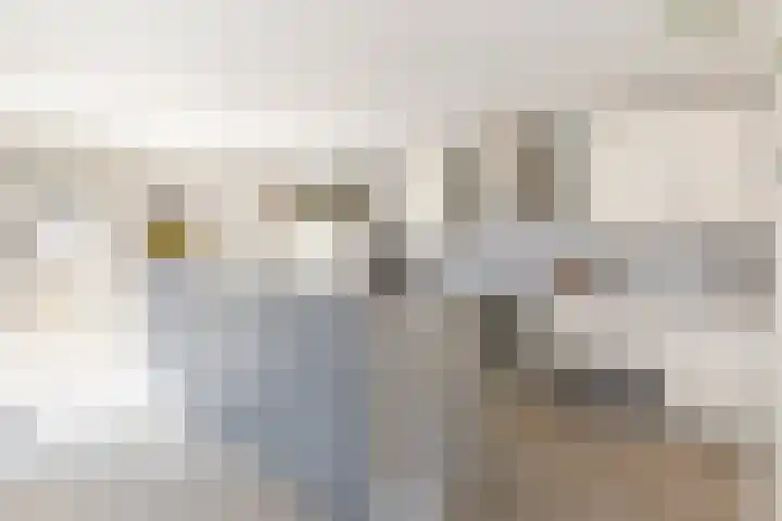 Tabaksweg 5 Harderwijk thumbnail 14