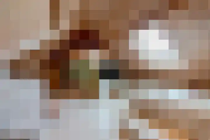 Tabaksweg 5 Harderwijk thumbnail 32