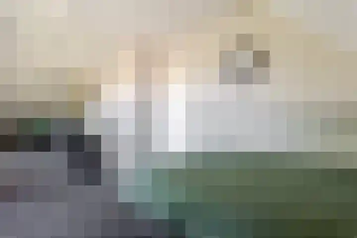 Tabaksweg 5 Harderwijk thumbnail 35