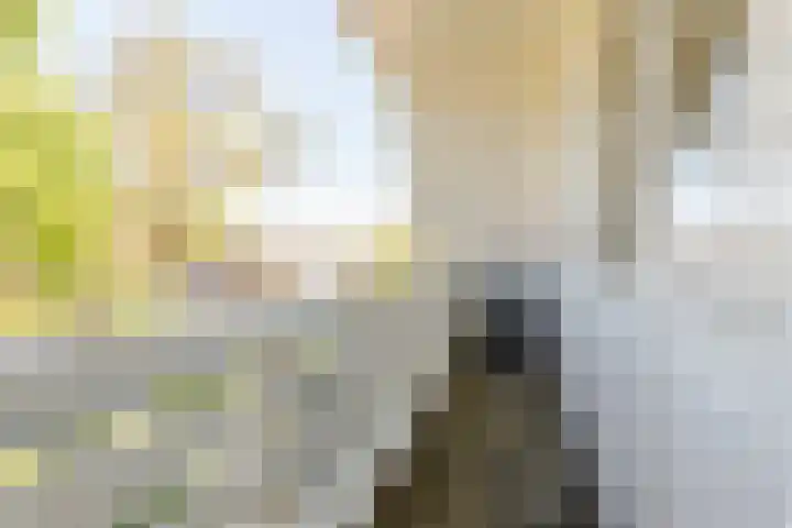 Tabaksweg 5 Harderwijk thumbnail 38