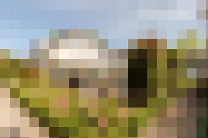 Tabaksweg 5 Harderwijk thumbnail 48