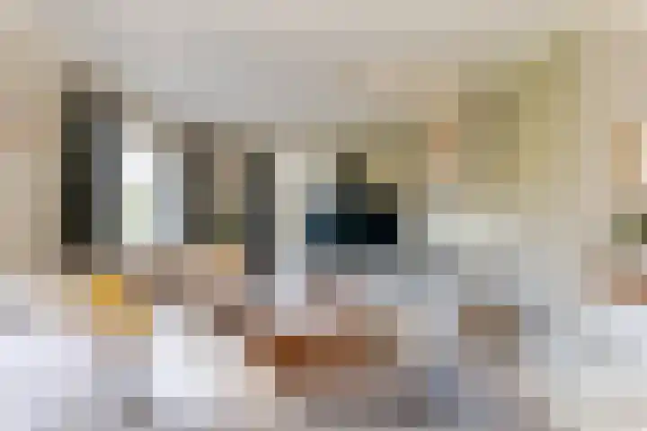 Tabaksweg 5 Harderwijk thumbnail 5
