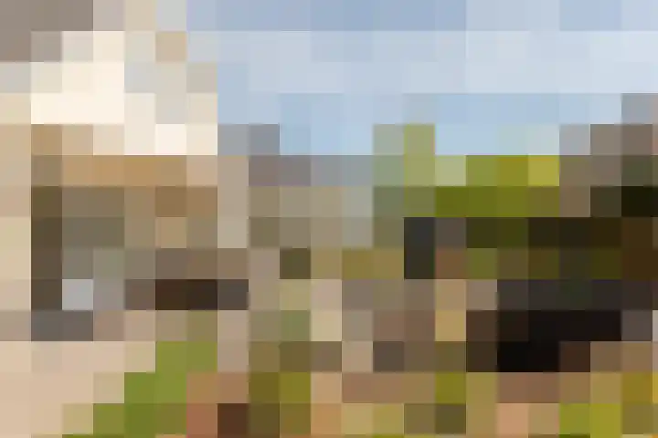 Tabaksweg 5 Harderwijk thumbnail 50