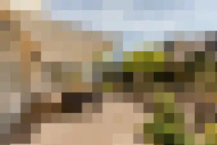 Tabaksweg 5 Harderwijk thumbnail 51