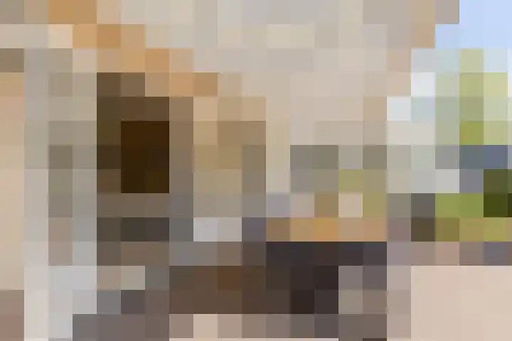 Tabaksweg 5 Harderwijk thumbnail 52