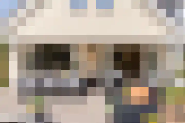 Tabaksweg 5 Harderwijk thumbnail 54