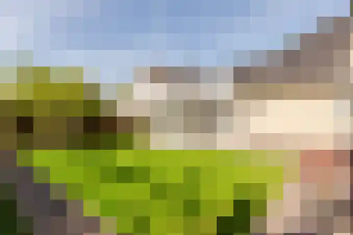 Tabaksweg 5 Harderwijk thumbnail 56