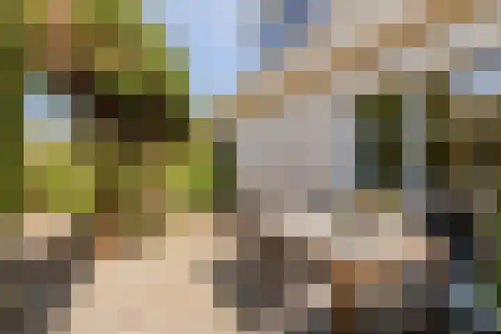 Tabaksweg 5 Harderwijk thumbnail 58