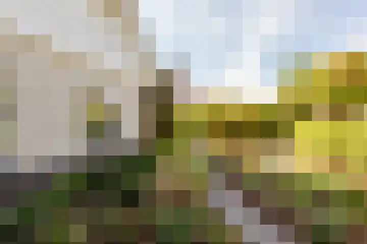 Tabaksweg 5 Harderwijk thumbnail 59