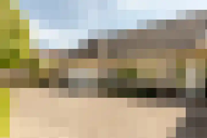 Tabaksweg 5 Harderwijk thumbnail 61