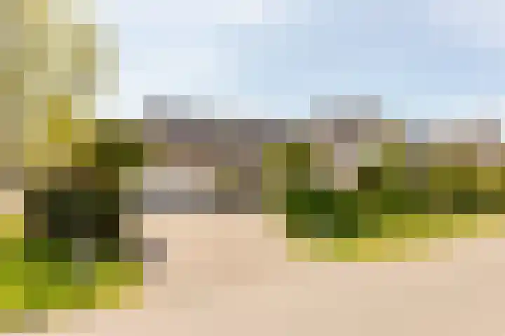 Tabaksweg 5 Harderwijk thumbnail 63