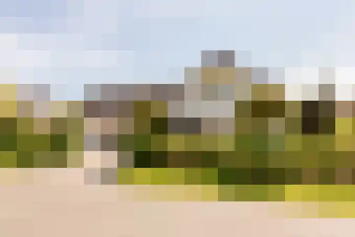 Tabaksweg 5 Harderwijk thumbnail 64