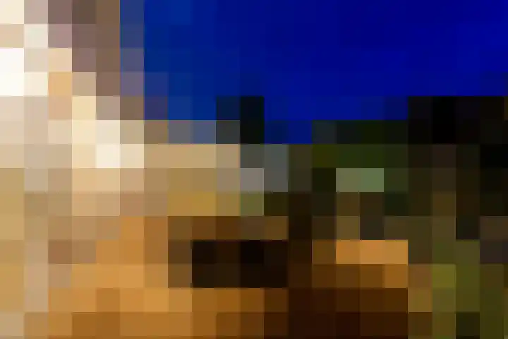 Tabaksweg 5 Harderwijk thumbnail 79