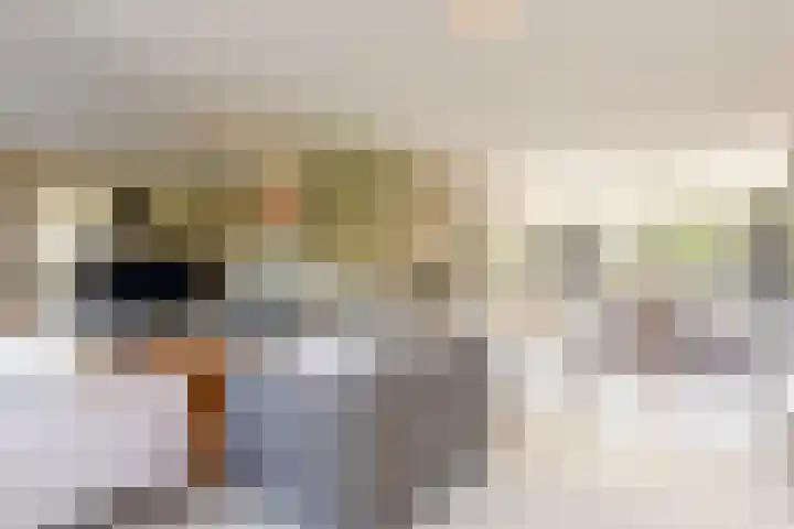Tabaksweg 5 Harderwijk thumbnail 8