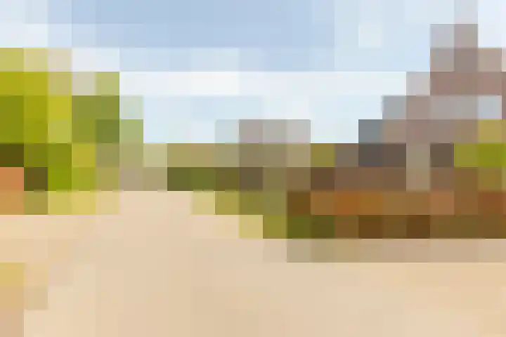 Tabaksweg 5 Harderwijk thumbnail 81
