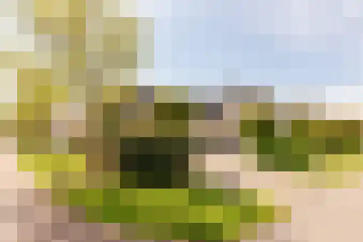 Tabaksweg 5 Harderwijk thumbnail 82