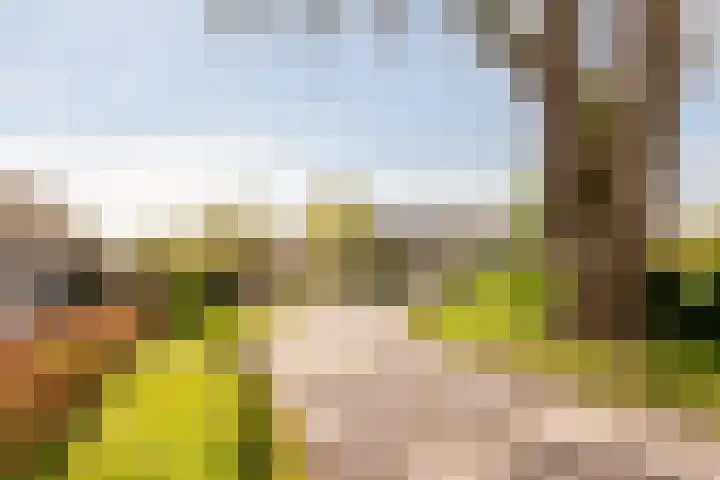 Tabaksweg 5 Harderwijk thumbnail 83
